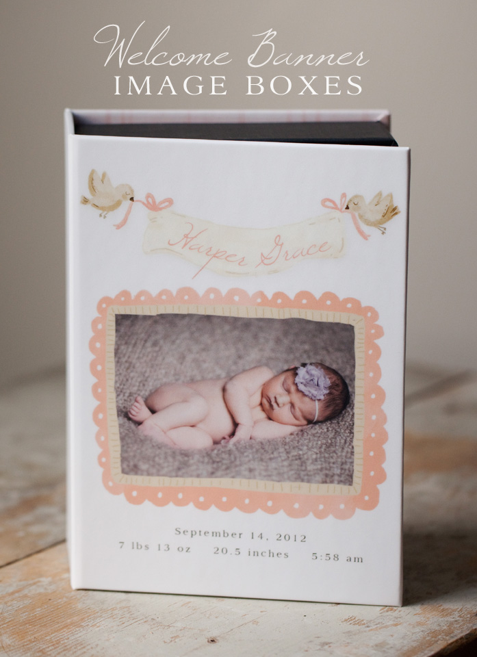 Welcome Banner Image Box Templates by Jamie Schultz Designs